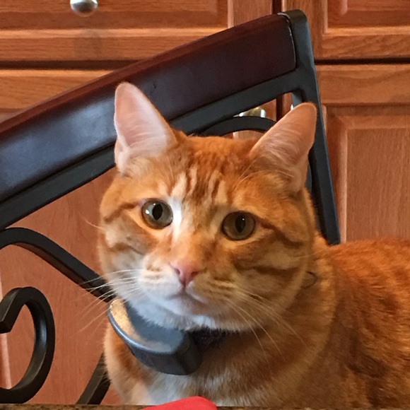 Clothing, jewelry and Bags - Picture 15 of 17